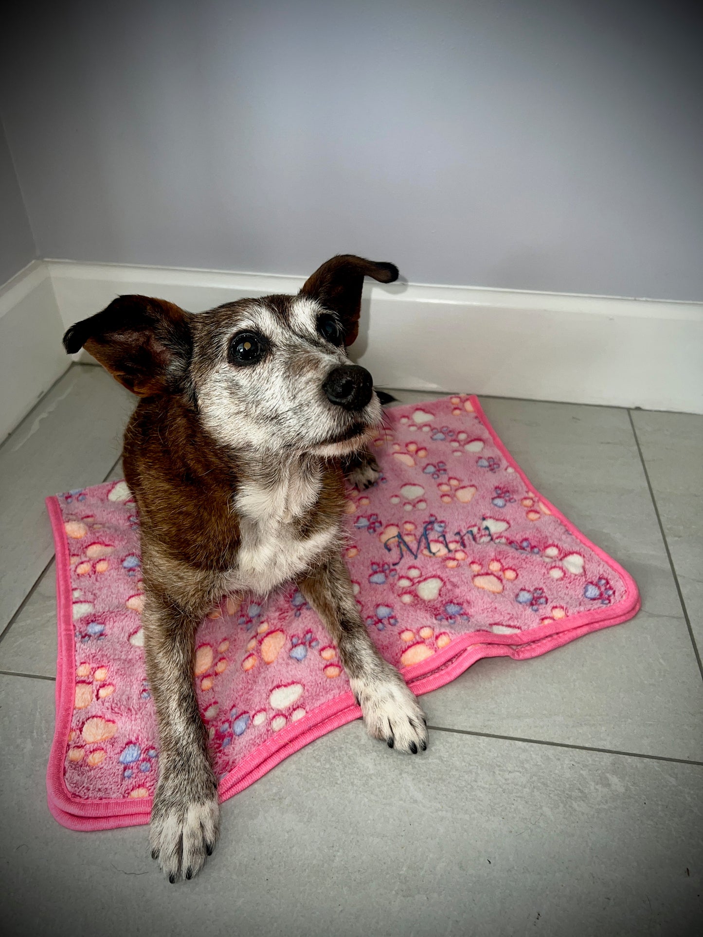 Personalised Pet Blanket