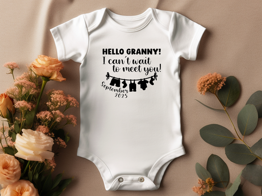 Hello World - Pregnancy Announcement Bodysuit